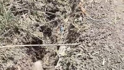 هبوط أرضي على جسر الترعة بطريق عزبة عجور في الباجور بالمنوفية