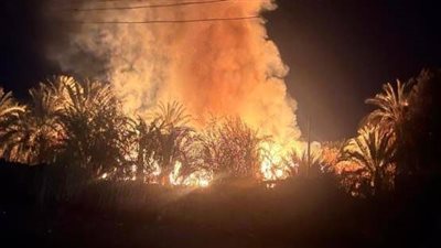  حريق يلتهم مزرعة نخيل على مساحة 3 أفدنة في الوادي الجديد