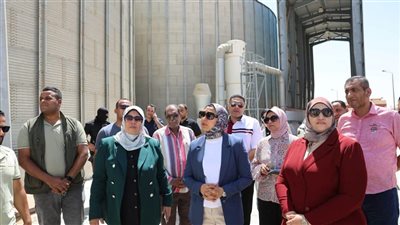 محافظ الوادي الجديد: توريد أكثر من نصف مليون طن قمح حتى الآن