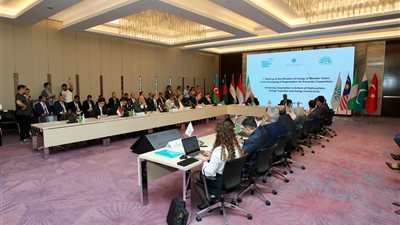 وزير البترول يشارك في الاجتماع الأول لوزراء الطاقة بمجموعة الدول الثماني النامية 
