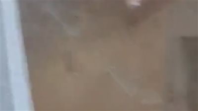 تعليم القليوبية عن فيديو متداول لمسؤول بالتعليم مع ولية أمر تلميذ: أُحيل للتحقيق واستبعد من منصبه