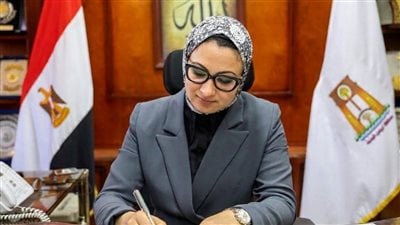 محافظ الوادي الجديد تحيل 8 مسؤولين للنيابة العامة في واقعة سرقة كابلات تشغيل إحدى محطات المياه