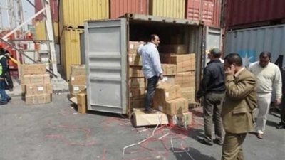 تحرير 174 محضر ضبط وتهرب جمركي في الإسكندرية 