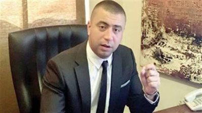 برلمانية حماة الوطن: الحزب يستعد لمناقشة ملف ضريبة الأرباح الرأسمالية