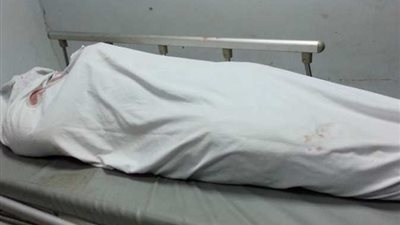 نزاع على ملكية منزل.. تفاصيل مقتل بودي جارد في التجمع الأول