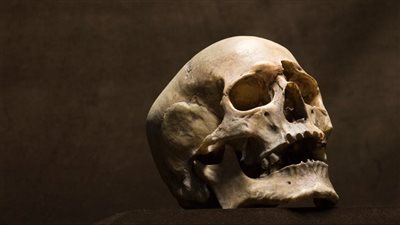 بعد وصولها لبورسعيد.. النيابة تأمر بالتحفظ علي 