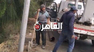 إصلاح عامود إنارة ورفع شجرة قطعت الطريق العام بدمياط بسبب سرعة الرياح