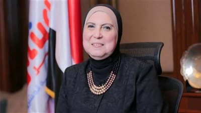 نيفين جامع: مصر تعطي اهتماما كبيرًا لتعزيز التعاون الإقليمي في جذب الاستثمارات