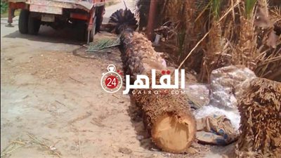 فتح طريق 
