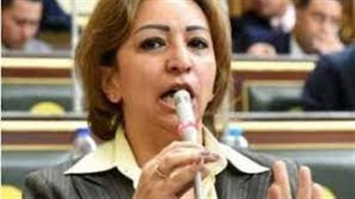 أول تحرك برلماني لوقف تنفيذ محور الجزائر بالمعادي