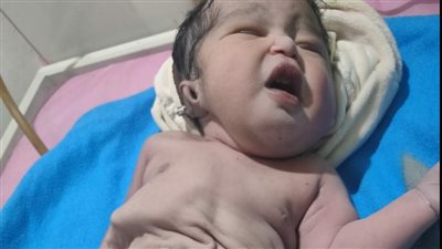 الأقصر في أسبوع.. ولادة طفل ببطن برقوقية.. وكورونا يغيب أستاذين أكاديميين 
