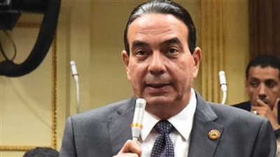 برلماني: نسعى أن يكون السمك الأكلة الشعبية في كل مصر وليس المدن الساحلية فقط
