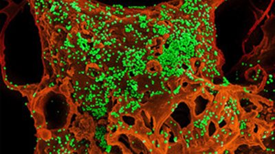 txt