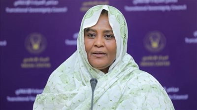 وزيرة خارجية السودان تحذر إثيوبيا: يجب تجنب صراعات لا طائل منها بسبب سد النهضة