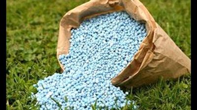 زراعة النواب توصي بإجراء مزايدة على نسبة 10% من إنتاج الأسمدة 