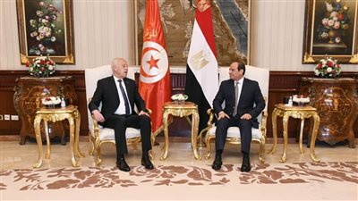 لماذا يسعى الرئيس التونسي لإثبات أنه القائد الأعلى للقوات المسلحة.. هل كانت زيارته لمصر السبب؟
