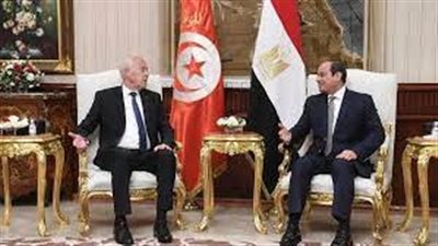 رئيس تونس: موقف مصر في أي محفل دولي هو موقفنا 