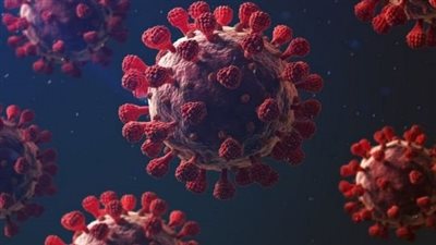 القليوبية تسجل 26 حالة إصابة جديدة بكورونا 