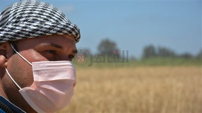 محافظ بورسعيد يشهد موسم حصاد القمح (صور وفيديو)