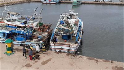 محافظ السويس يقرر حظر الصيد الترفيهي بالموانئ