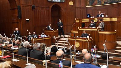 هل تتقدم الحكومة بمشروع قانون متكامل للثانوية العامة خلال دور الانعقاد المقبل؟.. برلماني يجيب 