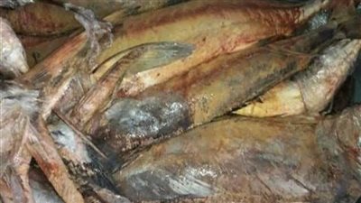 قبل عيد الفطر.. ضبط رنجة وكعك فاسد ببورسعيد (صور) 