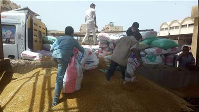 توريد نحو 3766 طن قمح لشون وصوامع بورسعيد منذ بدء الموسم