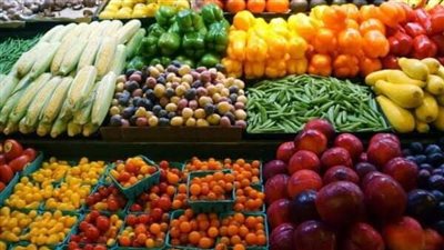 209 ملايين دولار إجمالي صادرات الإسماعيلية من الخضر والفاكهة خلال 4 أشهر