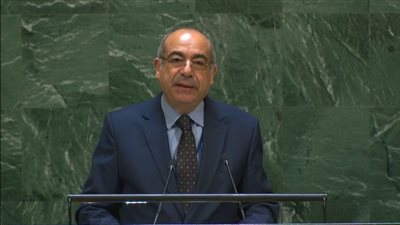 سفير مصر بالأمم المتحدة ينهي كلمته عن كورونا بـ