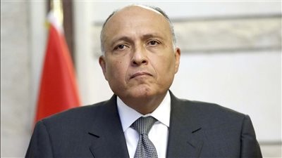 وزير الخارجية يبحث مع نظيره الياباني العلاقات الثنائية وعددًا من الملفات الإقليمية والدولية