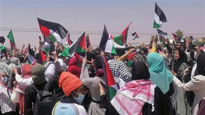 احتجاجات أردنية على الحدود مع فلسطين للتنديد بالعدوان الإسرائيلي (صور)