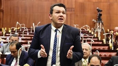 بعد شهادة محمد حسان.. برلماني يتساءل: هل تشفع لكل من مارسوا الإرهاب بعدها؟
