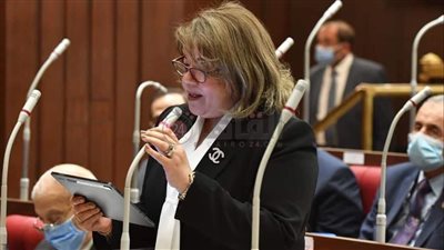 وكيل مجلس الشيوخ تبرز أهمية مشروع قانون الصكوك السيادية 