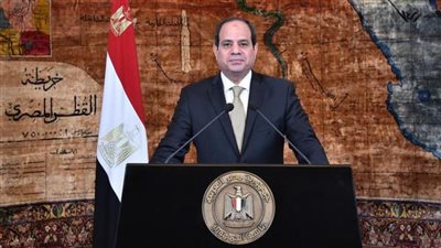 دبلوماسية مصر الخارجية تقودها نحو السلام ووقف نزيف الدماء في الشرق الأوسط