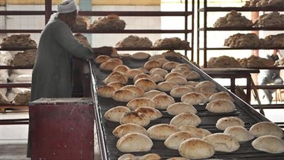 نقيب الفلاحين معلقا على قرار رفع سعر رغيف الخبز: 