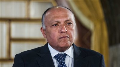 وزير الخارجية في حديثه لجامعة الدول العربية: 