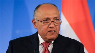 وزير الخارجية يجدد لأمير قطر موقف مصر الراسخ من دعم دول الخليج ضد أي تهديدات
