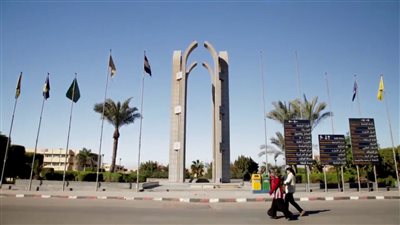 مركز تنمية القدرات بجامعة حلوان يعلن خطته التدريبية خلال شهر يوليو 