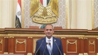 برلماني: إتاحة مناهج اللغة العربية على تطبيق 