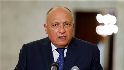 سامح شكري عن سد النهضة: تعرضنا 