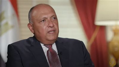 مؤتمر برلين 2.. وزير الخارجية يؤكد ثوابت الموقف المصري بدعم سيادة ‎ليبيا واستقلالها