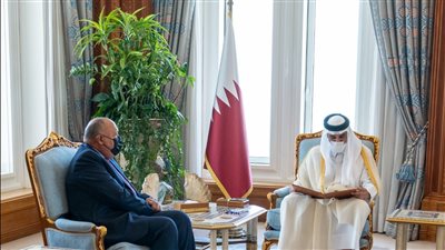وزير الخارجية يسلم أمير دولة قطر رسالة من الرئيس السيسي