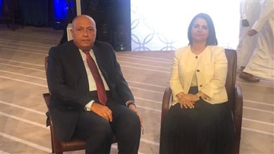 وزير الخارجية يدعو نظيرته الليبية لزيارة مصر