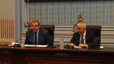سعفان: تحصيل 1.4 مليار جنيه مستحقات العمالة المصرية بالخارج منذ 2016