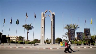 كيفية كتابة الورقة البحثية؟..  ورشة عمل بكلية التمريض بجامعة حلوان