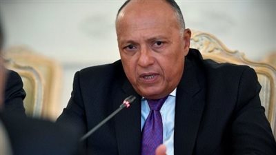 وزير الخارجية: تنظيم 