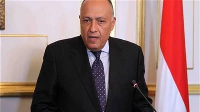 وزير الخارجية: لم نتفاجأ بموقف مجلس الأمن من قضية سد النهضة.. وأرفقنا مجلدًا تاريخيًا بحقوقنا