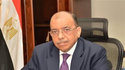 وزير التنمية المحلية يتابع جهود مبادرة 
