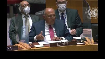 شكري: سبب أزمة سد النهضة سياسي بامتياز 