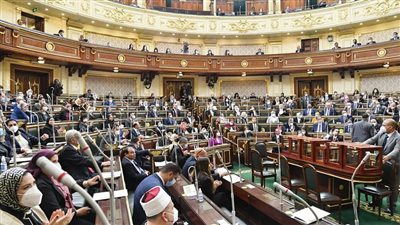 برلمانية: 
